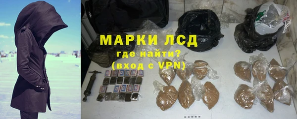 ГАЛЛЮЦИНОГЕННЫЕ ГРИБЫ Аркадак
