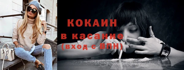 ГАЛЛЮЦИНОГЕННЫЕ ГРИБЫ Аркадак