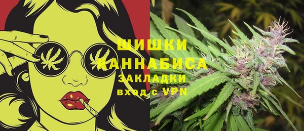 ГАЛЛЮЦИНОГЕННЫЕ ГРИБЫ Аркадак