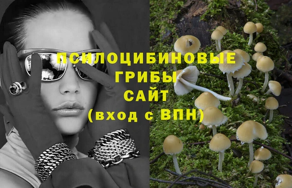 ГАЛЛЮЦИНОГЕННЫЕ ГРИБЫ Аркадак