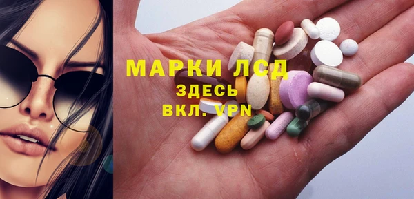 ГАЛЛЮЦИНОГЕННЫЕ ГРИБЫ Аркадак