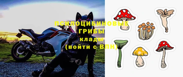 ГАЛЛЮЦИНОГЕННЫЕ ГРИБЫ Аркадак