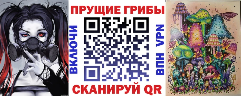 купить  сайты  Славск  Галлюциногенные грибы MAGIC MUSHROOMS 
